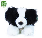 Rappa Câine border collie de pluș 30 cm ECO-FRIENDLY (211537)
