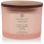 Chesapeake Bay Illatgyertya Chesapeake Bay Candle Stillness & Purity 3 Kanóc - yankeegyertya