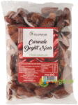 ECONATUR Curmale Deglet Nour fara Samburi 500g