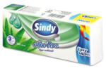 Sindy papírzsebkendő aloe vera 3r. , 100db/csg, 60csg/karton, 24karton/raklap (5998648701821)