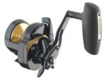 Daiwa Mulineta Daiwa 24 Saltiga L 15 (D.10808.015)