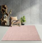  Modern Szőnyeg Sacramento Rose 120 x 170 cm Púder