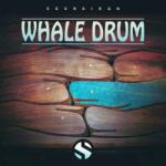 Soundiron Whale Drum (Digitális termék)