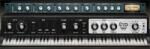 Waves Electric 88 Piano (Digitális termék)
