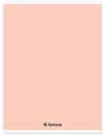 Fortuna Füzet vonalas FORTUNA Monocolor A/4 32 lapos pasztell barack (01.02104) - tonerpiac
