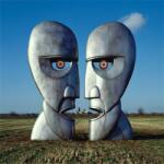 Pink Floyd - Division Bell (180g) (Reissue) (Remastered) (2 LP) (0888751843110)