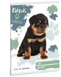 Ars Una Füzet kockás ARS UNA A/5 32 lapos 27-32 Bátor mancsok-Rottweiler (53634993) - vectraline