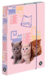  Füzetbox OXY A/5 Pets (5-68625)