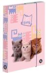 KARTON P+P Füzetbox OXY A/5 Pets (5-68625) - fotoland