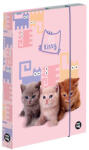 KARTON P+P Füzetbox OXY A/4 Pets (5-69525) - papir-bolt