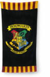Groovy Prosop Harry Potter - Hogwarts 75 x 150 cm Prosop