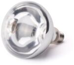 Hendi Infravörös izzó -230 V -250 W -125x170 mm (919200)