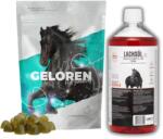 LAB-V Ulei de somon Lachsöl pentru cai 1000 ml + GELOREN HA gume pentru susținerea articulațiilor pentru cai 450 g