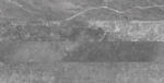 Colorker Járólap, Colorker Kainos Estratos Grey 59, 5 x 119, 2 - zuhanykabin