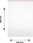 Clarina Pungi ziplock Clarina, 250 x 350 mm, 100/set ZIP-2535
