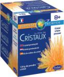 Sentosphère Trusa de știință Sentosphere - Crește cristal, galben (2894)