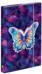 KARTON P+P Füzetbox OXY A/4 Butterfly (3-75625) - tonerpiac