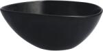 FORTESSA Bol, Capacitate: 0, 55 litri, Înălțime: 65 mm, Ø: 170 mm Castron