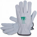 CERVA TB 160IBSZ bőr védőkesztyű (8) (0102013699080)