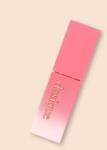 Dasique Ajaktint Juicy Dewy Tint - 3.5 g No. 11 Fig Plum