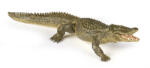 Papo : Alligátor - delfinbuvar