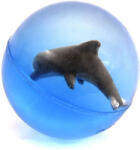  Delfines pattogó labda - 4 cm - delfinbuvar
