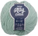 Jan Rejda Ally cotton 50 g - 017 menta (6804)