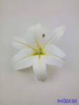  Gumi liliom fej D21, 5cm - Fehér