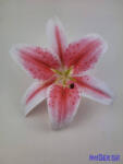  Gumi liliom fej D21, 5cm - Fehér-Rózsaszín