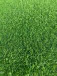 LEISURE Gazon Artificial, Lungime Fir 15 mm, Latime 4m, Marime 400 x 1200 cm, Verde, Imitatie Gazon Natural, Antialergic, Polipropilena, Curte, Terasa, Balcon, Piscina, Loc de Joaca, Gradinita (GAZON LEISURE 