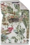 Moooi Prosop pentru mâini MENAGERIE 30 x 50 cm, fildeș, bumbac, Moooi (MOO258551) Prosop