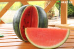 Hektar Burebista F1, seminte de pepene verde, Crimson Sweet, Hektar - antomaragro - 35,00 RON
