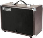 Revoltage RV-20A 20W akusztikus gitárkombó