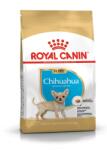 Royal Canin Eledel Chihuahua kölyökkutyák számára 500g