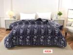 TEXTILIS Paturi cocolino 2.2kg 200x240cm pt. pat dublu cod NX26 Patura