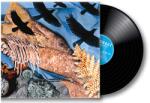 MG Records Zrt Intronaut - Prehistoricisms (Vinyl LP (nagylemez)) (9010974000730)