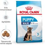 Royal Canin Maxi Puppy - nagytestű kölyök kutya száraz táp 3 kg - petissimo