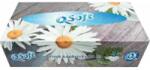  Q Puha papírzsebkendő (80 db/doboz) Daisy