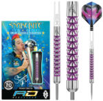 Red Dragon DART SZETT Red Dragon STEEL PETER WRIGHT VYPER 20g gravírozott