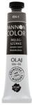 Pannoncolor Olajfesték PANNONCOLOR 22ml 834 melegszürke