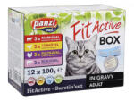Panzi FitActive FITABOX macska 12x100g