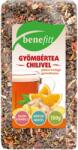 Benefitt Ceai vrac din fructe cu aromă de ghimbir și chili (100g)