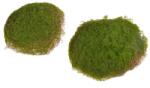  Muschi artificial pentru decoaratiuni florale set 6 buc (8445)