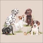 Ambiente Playing puppies papírszalvéta 33x33cm, 20db-os