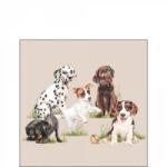 Ambiente Playing puppies papírszalvéta 25x25cm, 20db-os