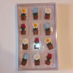 DD Tavaszi Poly figura készlet (12db kb. 3cm) cserepes virágok (10072)