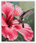  Rózsaszín Hibiszkusz és Kolibri - számfestő készlet