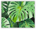  Monstera és Banánlevelek - számfestő készlet