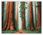  Óriás Vörösfenyők Erdeje - számfestő készlet
