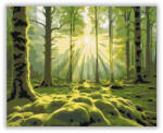  Napkelte az Erdő Mélyén - számfestő készlet